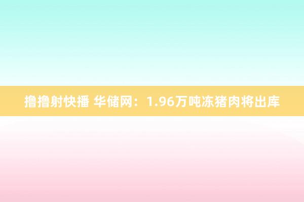 撸撸射快播 华储网：1.96万吨冻猪肉将出库
