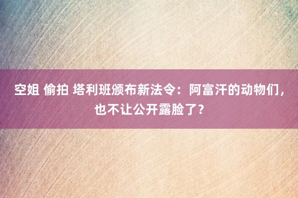 空姐 偷拍 塔利班颁布新法令：阿富汗的动物们，也不让公开露脸了？