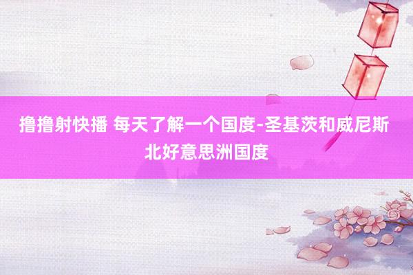 撸撸射快播 每天了解一个国度-圣基茨和威尼斯 北好意思洲国度