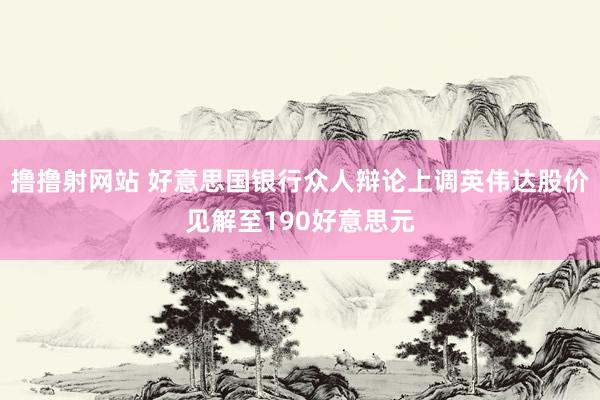 撸撸射网站 好意思国银行众人辩论上调英伟达股价见解至190好意思元