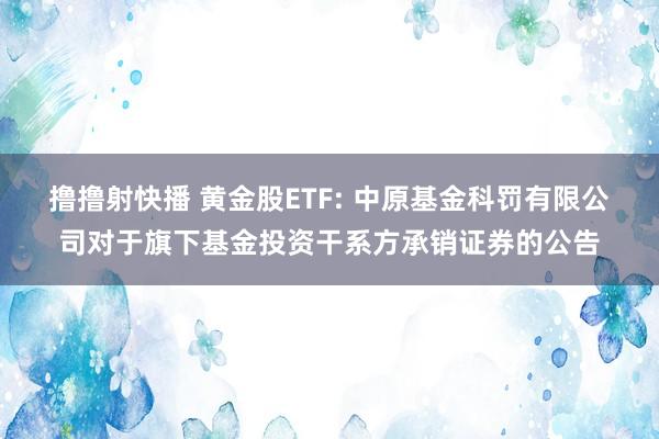 撸撸射快播 黄金股ETF: 中原基金科罚有限公司对于旗下基金投资干系方承销证券的公告