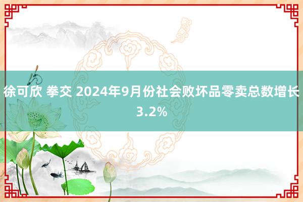 徐可欣 拳交 2024年9月份社会败坏品零卖总数增长3.2%