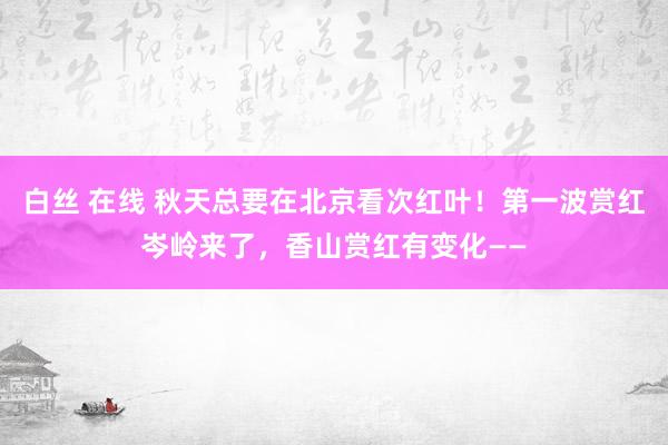 白丝 在线 秋天总要在北京看次红叶！第一波赏红岑岭来了，香山赏红有变化——