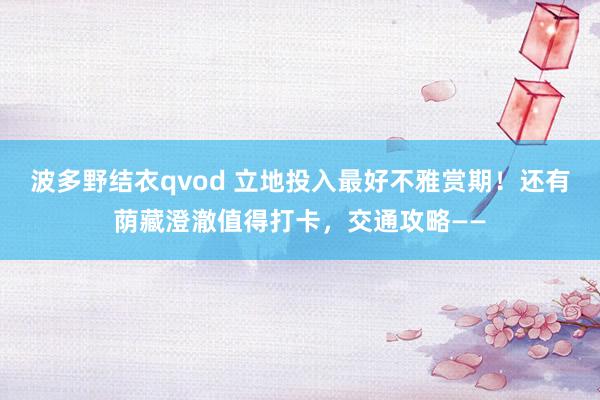 波多野结衣qvod 立地投入最好不雅赏期！还有荫藏澄澈值得打卡，交通攻略——