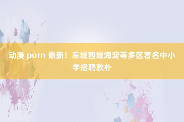 动漫 porn 最新！东城西城海淀等多区著名中小学招聘敦朴