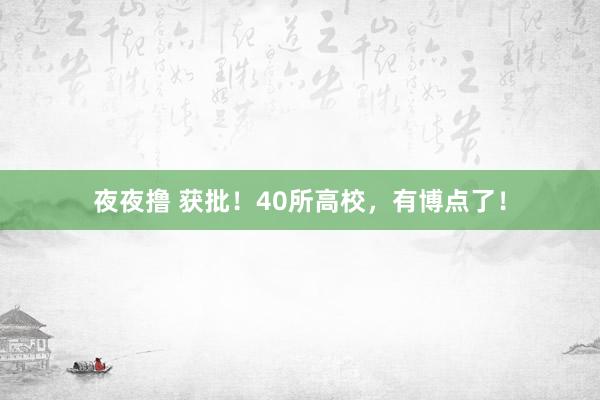 夜夜撸 获批！40所高校，有博点了！