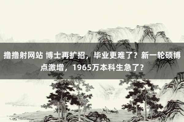 撸撸射网站 博士再扩招，毕业更难了？新一轮硕博点激增，1965万本科生急了？