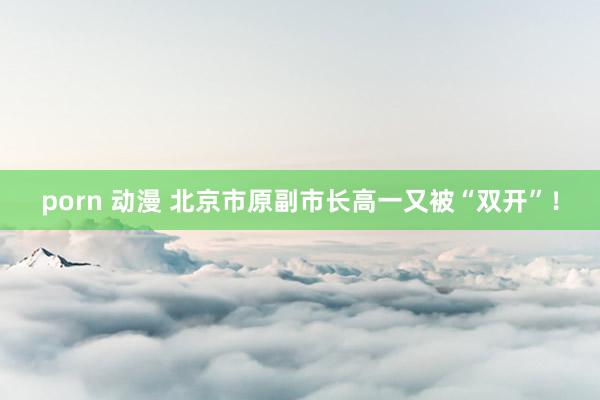 porn 动漫 北京市原副市长高一又被“双开”！