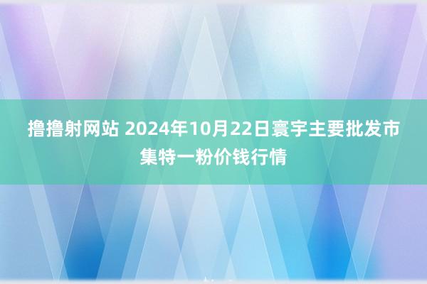 撸撸射网站 2024年10月22日寰宇主要批发市集特一粉价钱行情