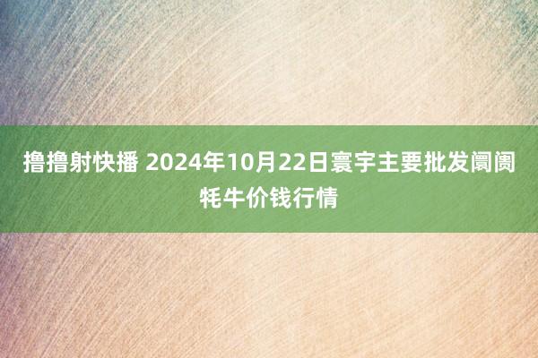撸撸射快播 2024年10月22日寰宇主要批发阛阓牦牛价钱行情
