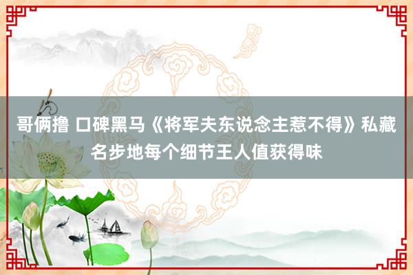 哥俩撸 口碑黑马《将军夫东说念主惹不得》私藏名步地每个细节王人值获得味