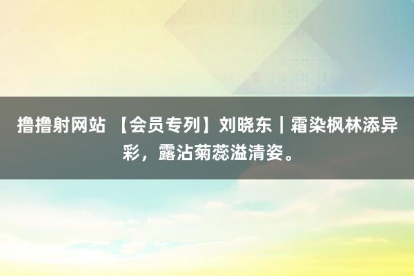 撸撸射网站 【会员专列】刘晓东｜霜染枫林添异彩，露沾菊蕊溢清姿。