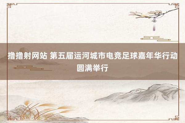 撸撸射网站 第五届运河城市电竞足球嘉年华行动圆满举行