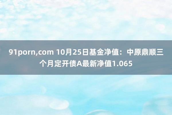 91porn，com 10月25日基金净值：中原鼎顺三个月定开债A最新净值1.065