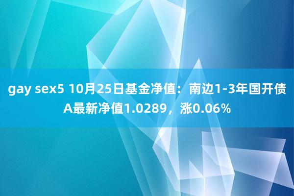 gay sex5 10月25日基金净值：南边1-3年国开债A最新净值1.0289，涨0.06%