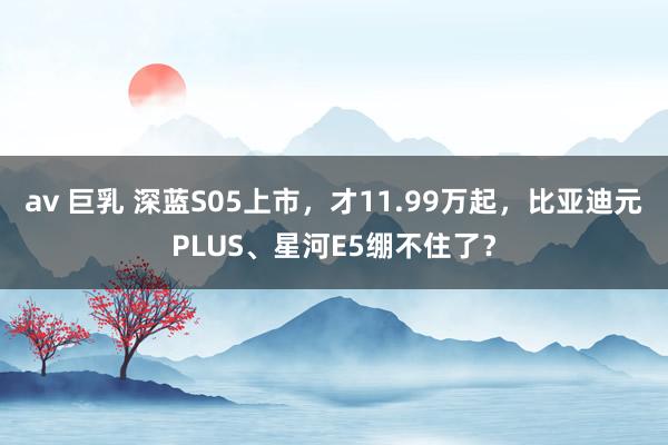 av 巨乳 深蓝S05上市，才11.99万起，比亚迪元PLUS、星河E5绷不住了？