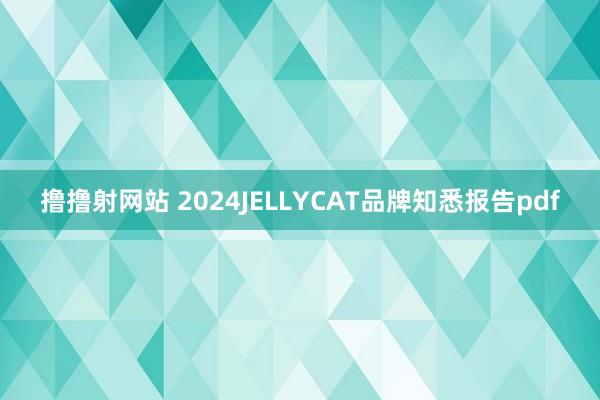 撸撸射网站 2024JELLYCAT品牌知悉报告pdf