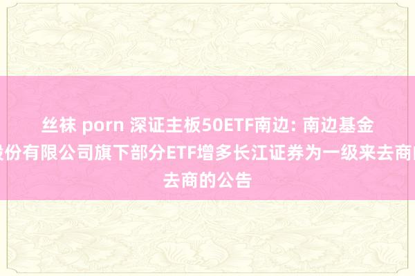 丝袜 porn 深证主板50ETF南边: 南边基金解决股份有限公司旗下部分ETF增多长江证券为一级来去商的公告