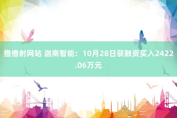 撸撸射网站 迦南智能：10月28日获融资买入2422.06万元
