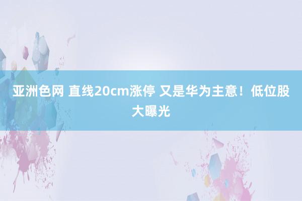 亚洲色网 直线20cm涨停 又是华为主意！低位股大曝光