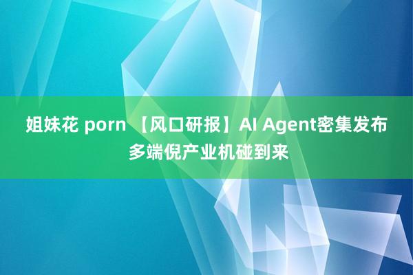 姐妹花 porn 【风口研报】AI Agent密集发布 多端倪产业机碰到来