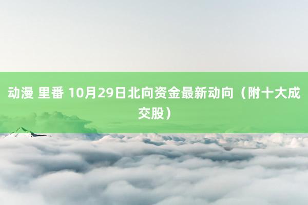动漫 里番 10月29日北向资金最新动向（附十大成交股）