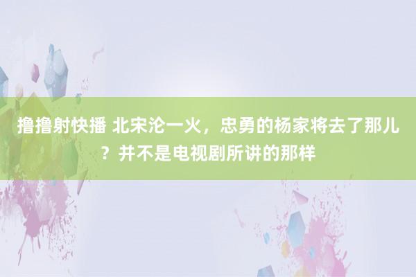撸撸射快播 北宋沦一火，忠勇的杨家将去了那儿？并不是电视剧所讲的那样