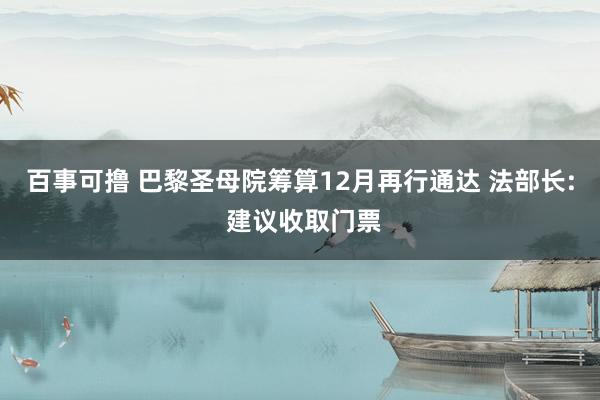 百事可撸 巴黎圣母院筹算12月再行通达 法部长: 建议收取门票