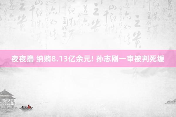夜夜撸 纳贿8.13亿余元! 孙志刚一审被判死缓