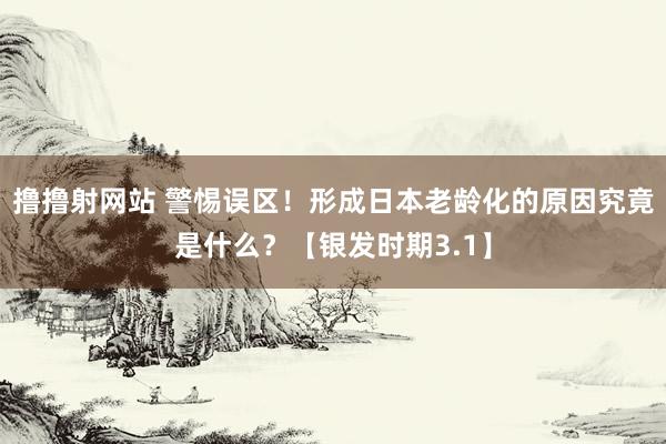 撸撸射网站 警惕误区！形成日本老龄化的原因究竟是什么？【银发时期3.1】