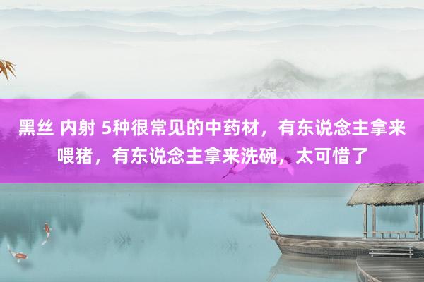黑丝 内射 5种很常见的中药材，有东说念主拿来喂猪，有东说念主拿来洗碗，太可惜了