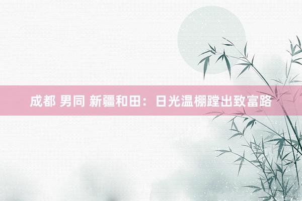 成都 男同 新疆和田：日光温棚蹚出致富路