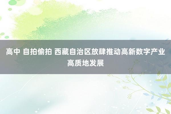 高中 自拍偷拍 西藏自治区放肆推动高新数字产业高质地发展
