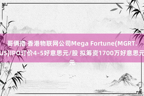 哥俩撸 香港物联网公司Mega Fortune(MGRT.US)IPO订价4-5好意思元/股 拟筹资1700万好意思元