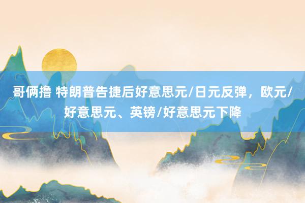 哥俩撸 特朗普告捷后好意思元/日元反弹，欧元/好意思元、英镑/好意思元下降