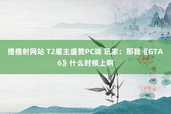 撸撸射网站 T2雇主盛赞PC端 玩家：那我《GTA6》什么时候上啊