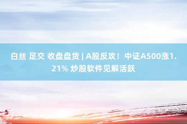 白丝 足交 收盘盘货 | A股反攻！中证A500涨1.21% 炒股软件见解活跃
