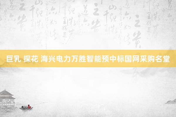巨乳 探花 海兴电力万胜智能预中标国网采购名堂