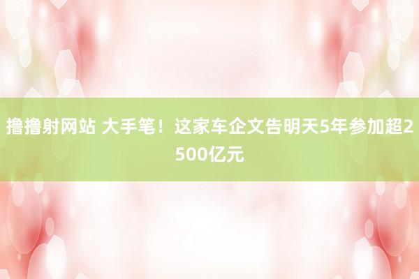 撸撸射网站 大手笔！这家车企文告明天5年参加超2500亿元