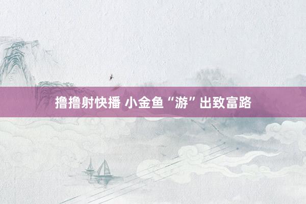 撸撸射快播 小金鱼“游”出致富路