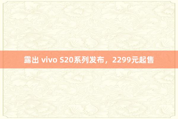 露出 vivo S20系列发布，2299元起售