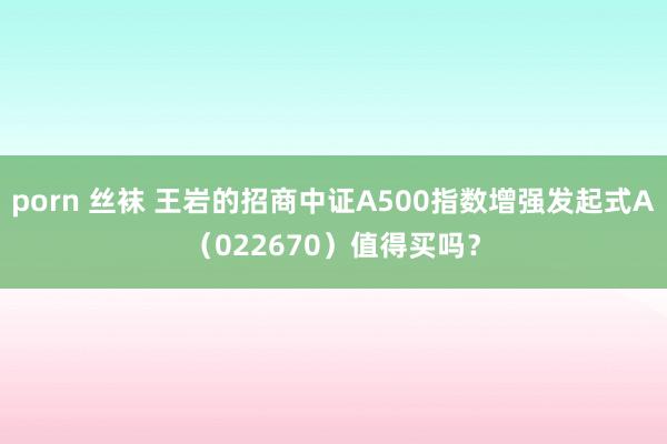 porn 丝袜 王岩的招商中证A500指数增强发起式A（022670）值得买吗？
