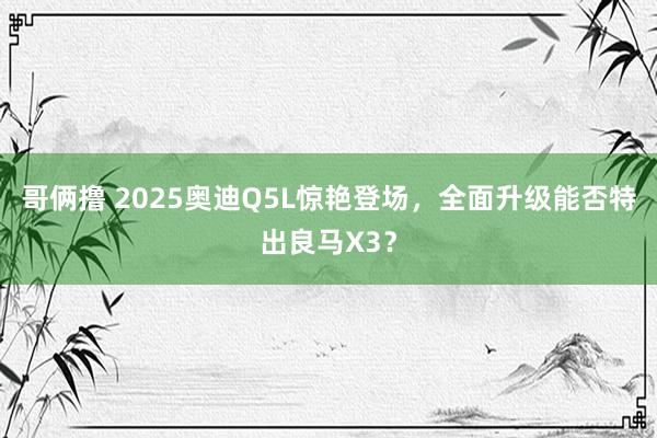 哥俩撸 2025奥迪Q5L惊艳登场，全面升级能否特出良马X3？