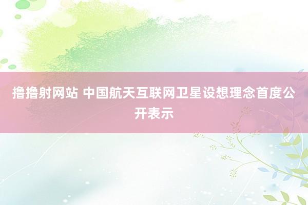 撸撸射网站 中国航天互联网卫星设想理念首度公开表示