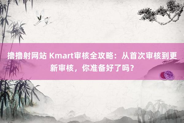 撸撸射网站 Kmart审核全攻略：从首次审核到更新审核，你准备好了吗？