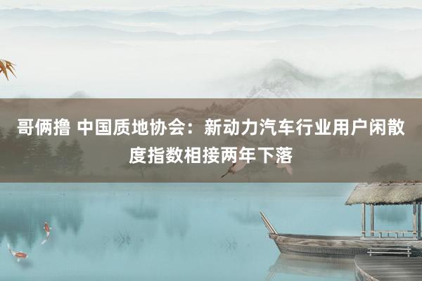 哥俩撸 中国质地协会：新动力汽车行业用户闲散度指数相接两年下落