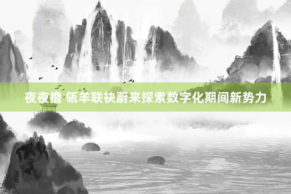 夜夜撸 瓴羊联袂蔚来探索数字化期间新势力