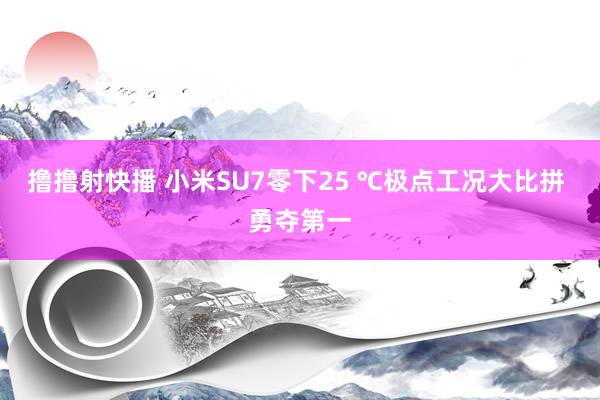 撸撸射快播 小米SU7零下25 ℃极点工况大比拼 勇夺第一