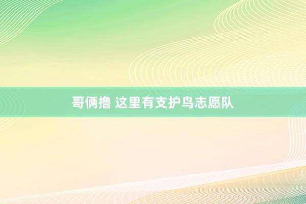 哥俩撸 这里有支护鸟志愿队