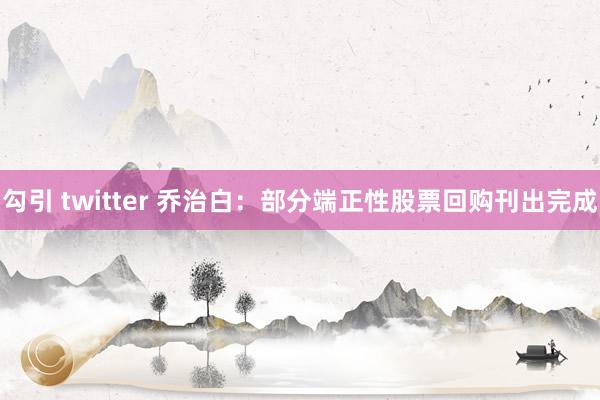 勾引 twitter 乔治白：部分端正性股票回购刊出完成